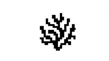 Coral Protocol